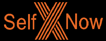 SelfX Now Technologies logo